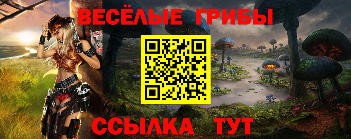 Псилоцибиновые грибы GOLDEN TEACHER Королёв