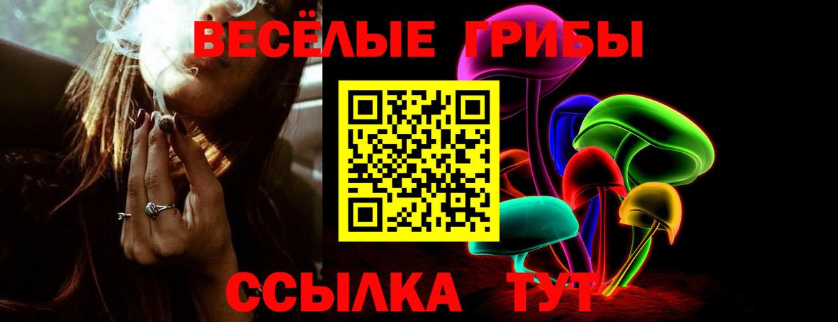 Псилоцибиновые грибы мухоморы  Галлюциногенные грибы прущие грибы  Вход с VPN  Королёв 